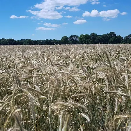 Utkiek Aurich