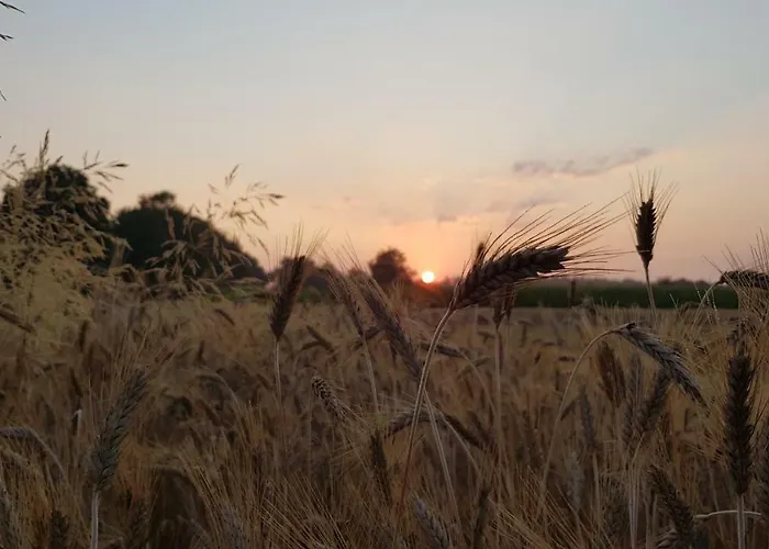 Utkiek Apartamento Aurich